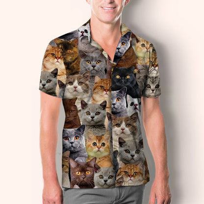 You Will Have A Bunch Of British Shorthair Cats - Shirt V1