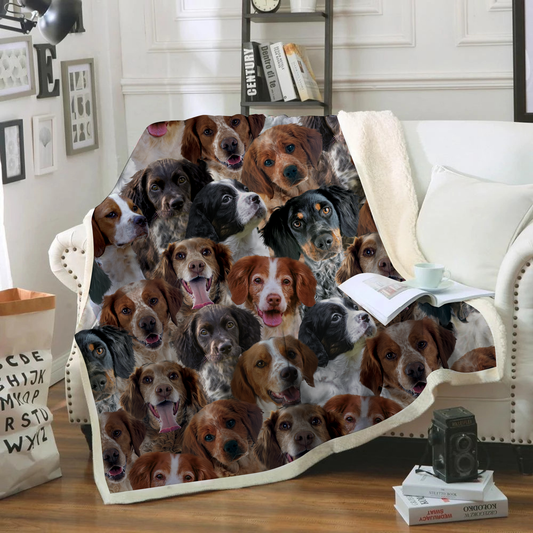 You Will Have A Bunch Of Brittany Spaniels - Blanket V1