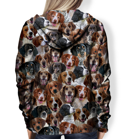 You Will Have A Bunch Of Brittany Spaniels - Hoodie V1