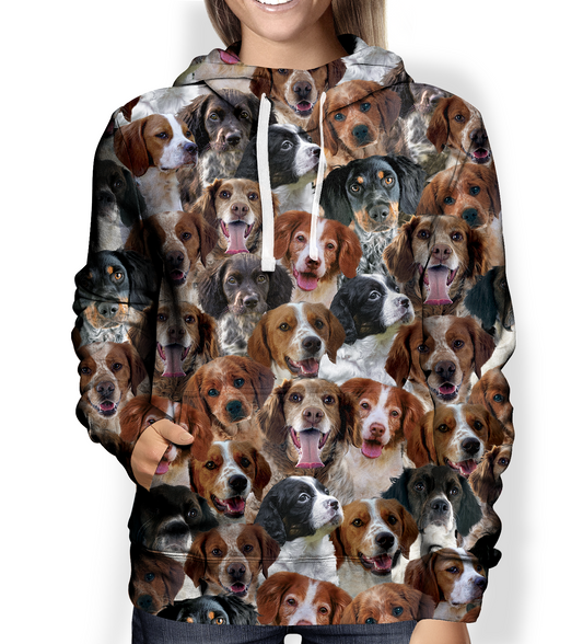 You Will Have A Bunch Of Brittany Spaniels - Hoodie V1