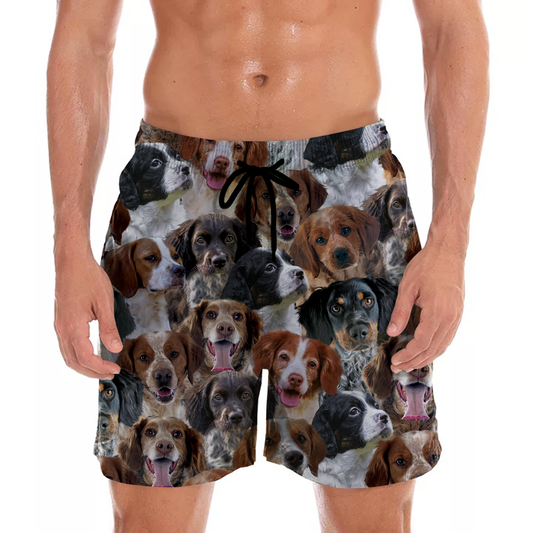 You Will Have A Bunch Of Brittany Spaniels - Shorts V1