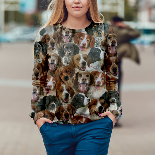 You Will Have A Bunch Of Brittany Spaniels - Sweatshirt V1