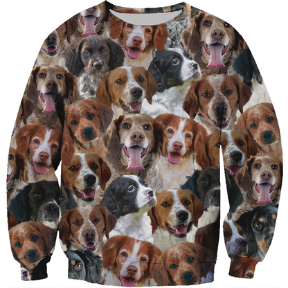 You Will Have A Bunch Of Brittany Spaniels - Sweatshirt V1