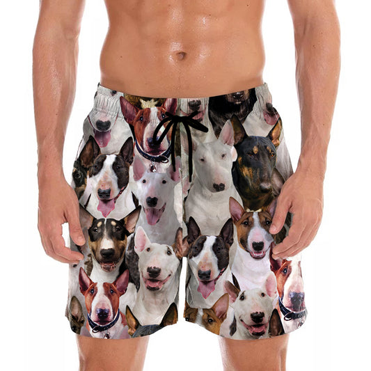 Vous aurez un tas de Bull Terriers - Shorts V1