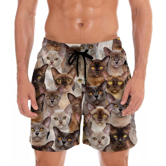 Vous aurez une bande de chats birmans - Shorts V1