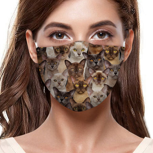 Sie werden einen Haufen Burma-Katzen-F-Maske haben