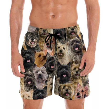 Sie werden einen Haufen Cairn Terrier haben - Shorts V1