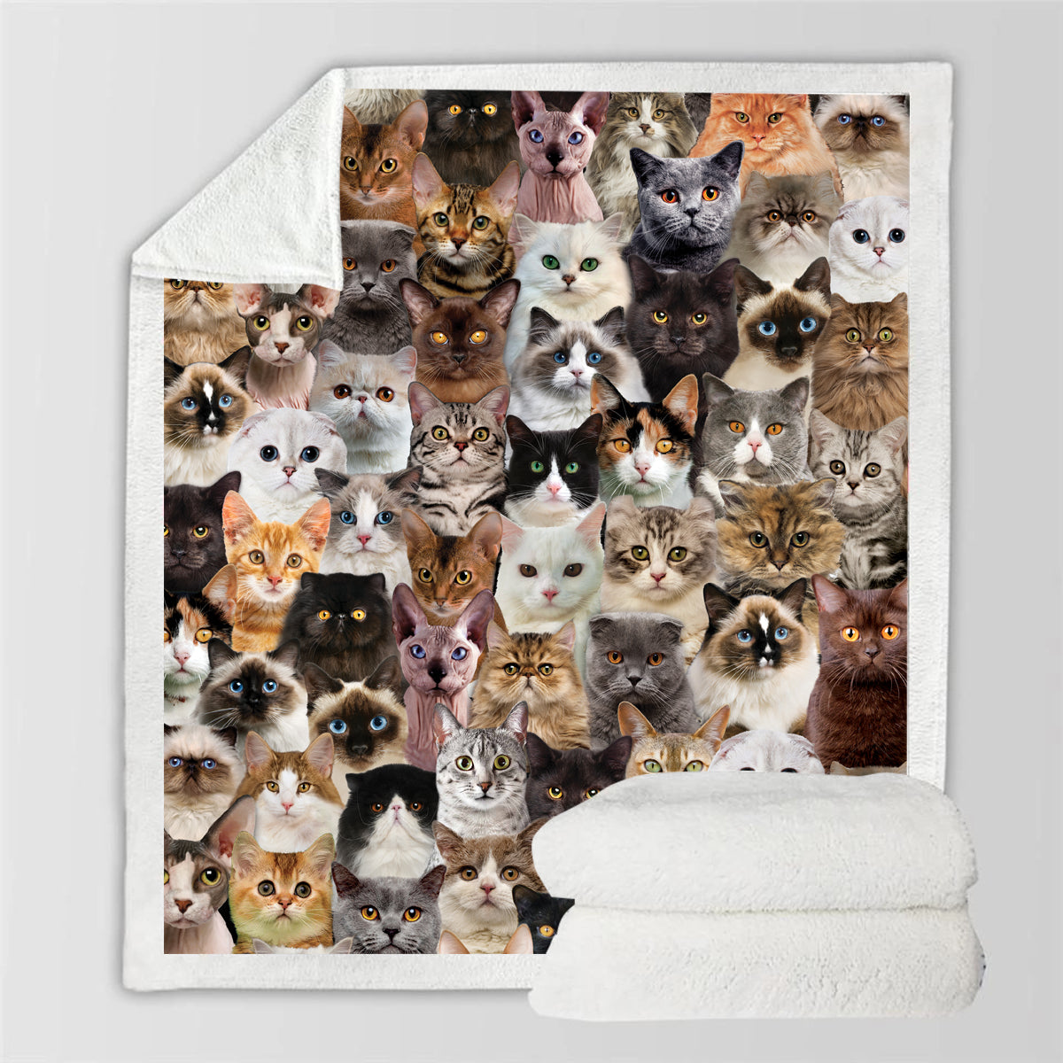 Cats - Blanket V1
