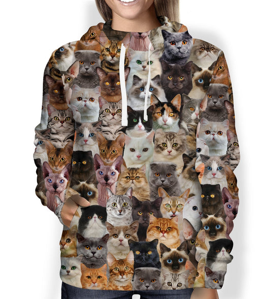 You Will Have A Bunch Of Cats - Hoodie V1