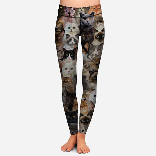 You Will Have A Bunch Of Cats - Leggings V1