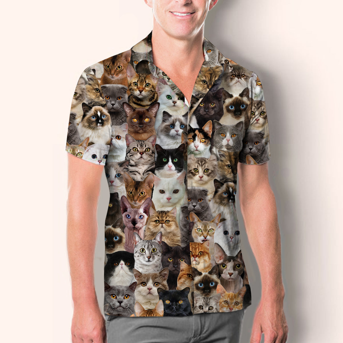 Du wirst einen Haufen Katzen haben - Shirt V1