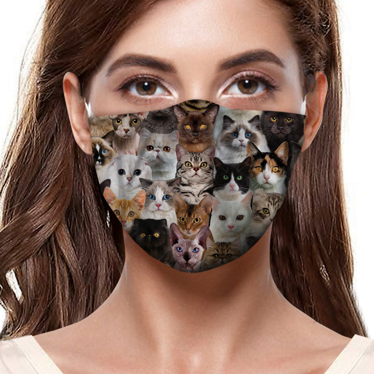 Sie werden eine F-Maske mit vielen Katzen haben