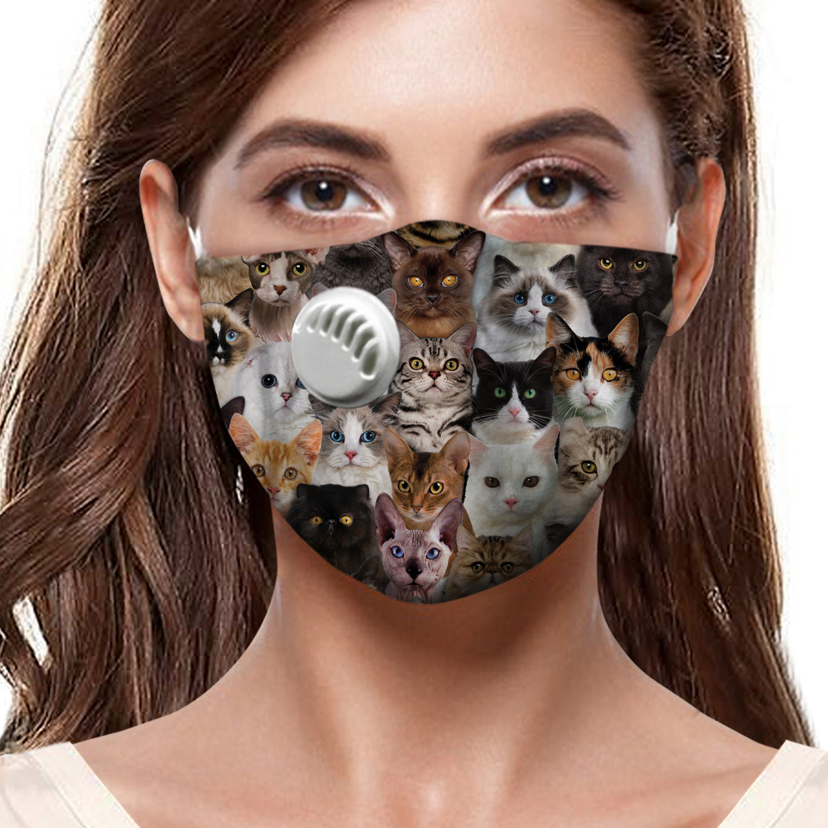 Vous aurez un tas de chats F-Mask