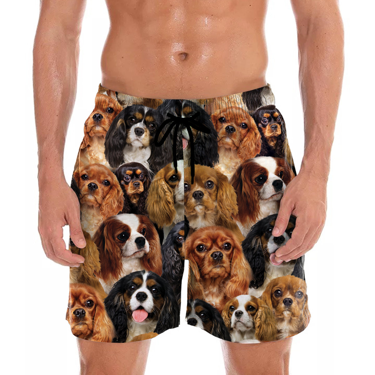 Sie werden einen Haufen Cavalier King Charles Spaniels haben – Shorts V1