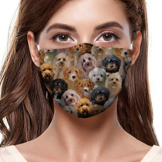 Sie werden eine Menge Cavapoos F-Maske haben