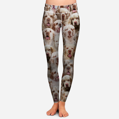 You Will Have A Bunch Of Clumber Spaniels - Leggings V1