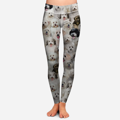 Sie werden eine Menge Coton De Tulears haben – Leggings V1