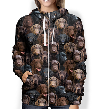 You Will Have A Bunch Of Curly Coated Retrievers - Hoodie V1