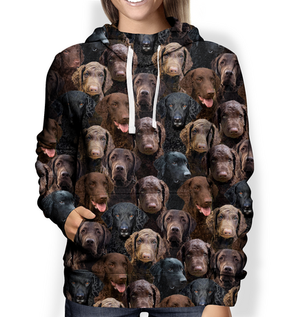 You Will Have A Bunch Of Curly Coated Retrievers - Hoodie V1