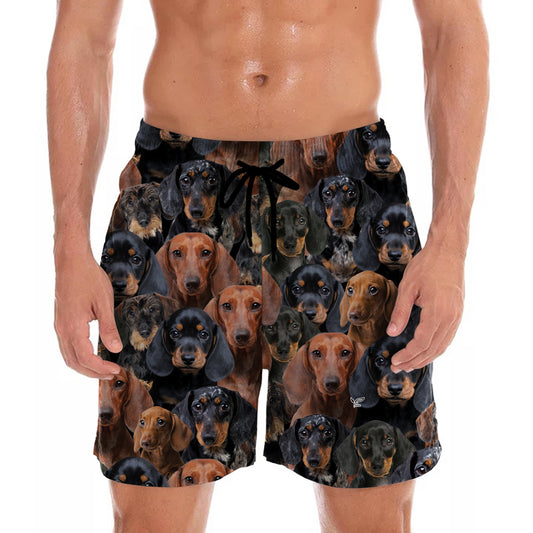 You Will Have A Bunch Of Dachshunds - Shorts V1