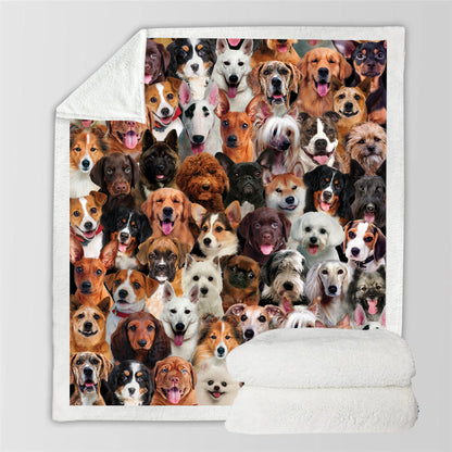 Dogs - Blanket V2