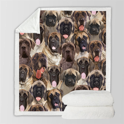 English Mastiffs - Blanket V1