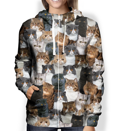 You Will Have A Bunch Of Exotic Cats - Hoodie V1