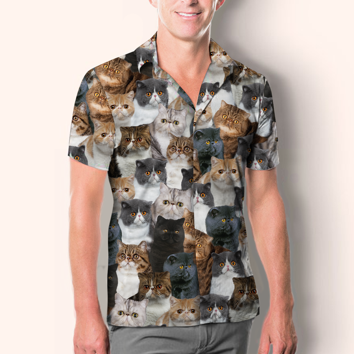 Sie werden einen Haufen exotischer Katzen haben - Shirt V1