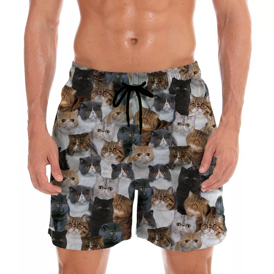 Vous aurez un groupe de chats exotiques - Shorts V1