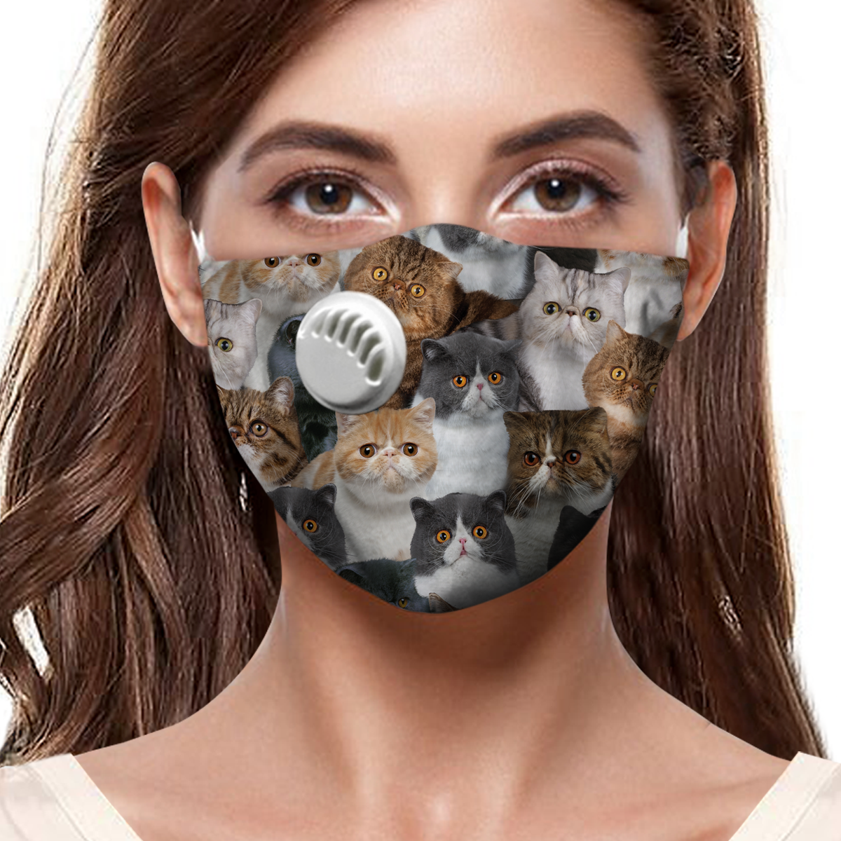 Vous aurez un tas de chats exotiques F-Mask