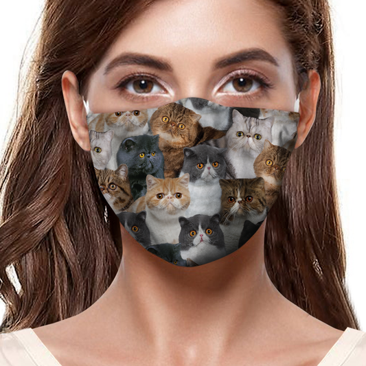 Sie werden eine Menge exotischer Katzen-F-Masken haben
