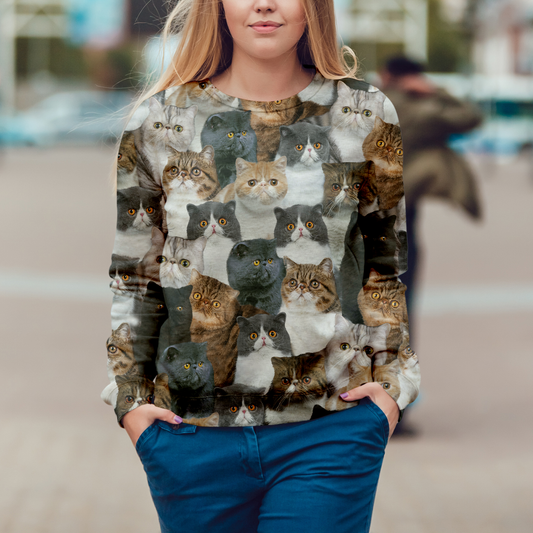 Vous aurez une bande de chats exotiques - Sweatshirt V1