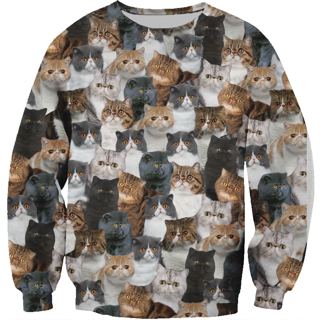 You Will Have A Bunch Of Exotic Cats - Sweatshirt V1