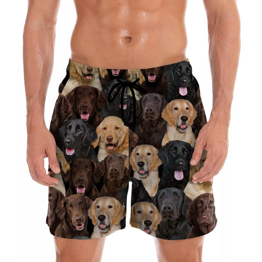You Will Have A Bunch Of Flat Coated Retrievers - Shorts V1