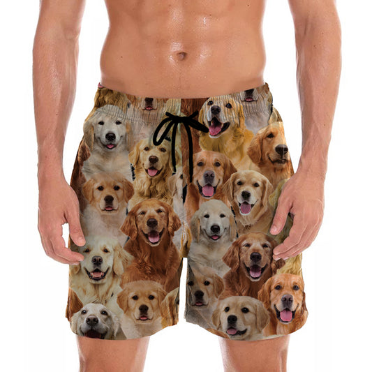 You Will Have A Bunch Of Golden Retrievers - Shorts V1
