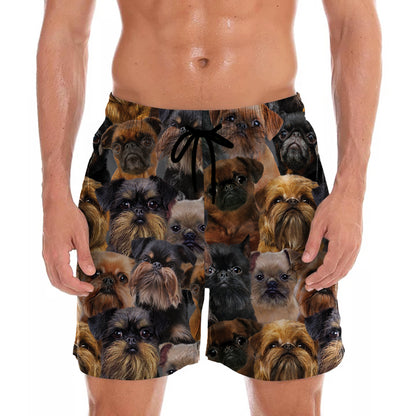 Sie werden eine Menge Griffon Bruxellois - Shorts V1 haben