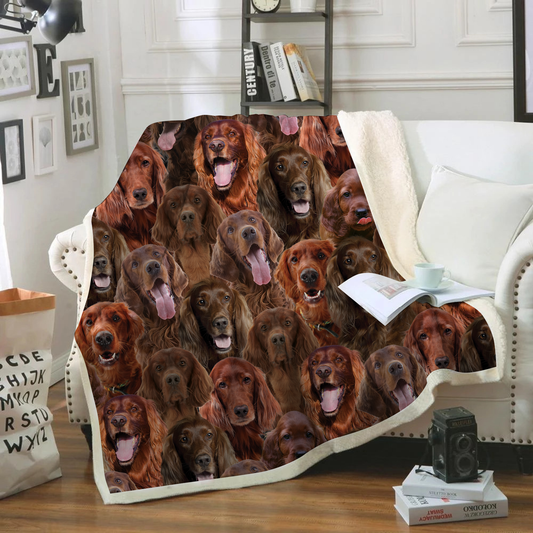 You Will Have A Bunch Of Irish Setters - Blanket V1