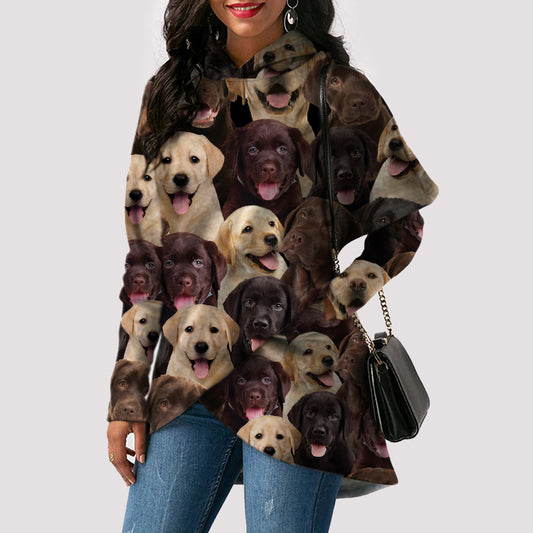 A Bunch Of Labradors - Fashion Long Hoodie V1