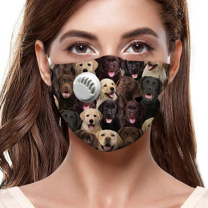 Sie werden einen Haufen Labradore F-Maske haben