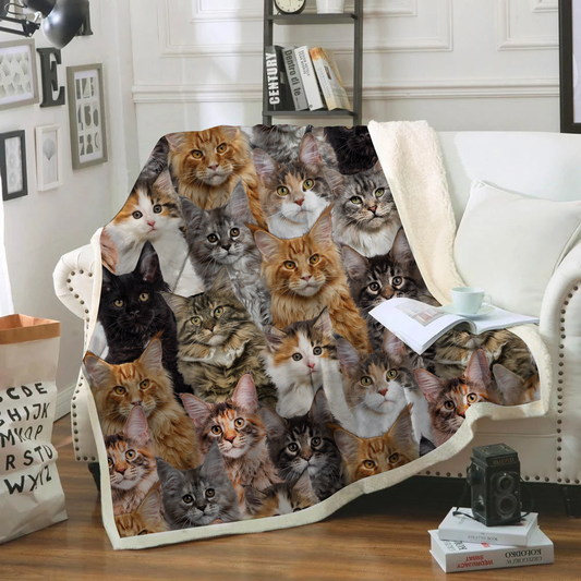 You Will Have A Bunch Of Maine Coon Cats - Blanket V1
