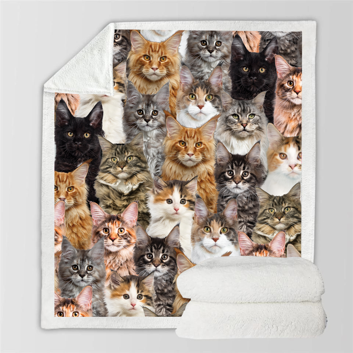 Maine Coon Cats - Blanket V1