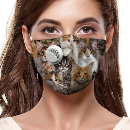 You Will Have A Bunch Of Maine Coon Cats F-Mask