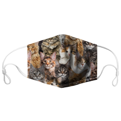 You Will Have A Bunch Of Maine Coon Cats F-Mask