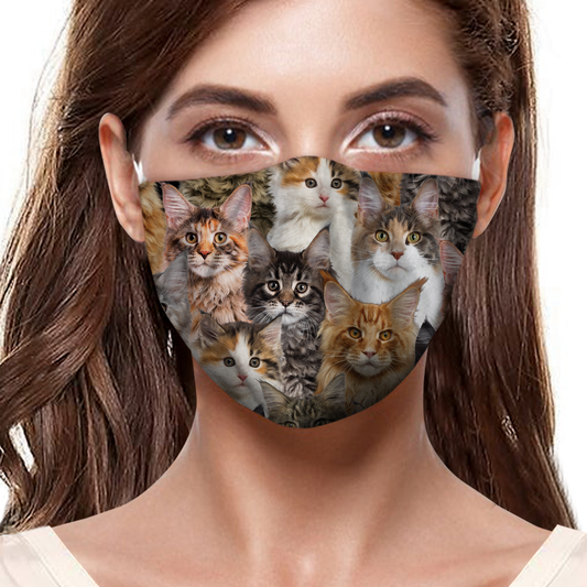 Vous aurez un groupe de chats Maine Coon F-Mask