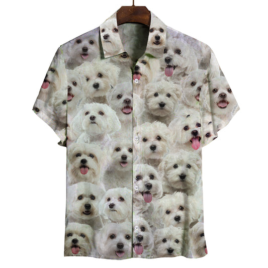 You Will Have A Bunch Of Malteses - Shirt V1