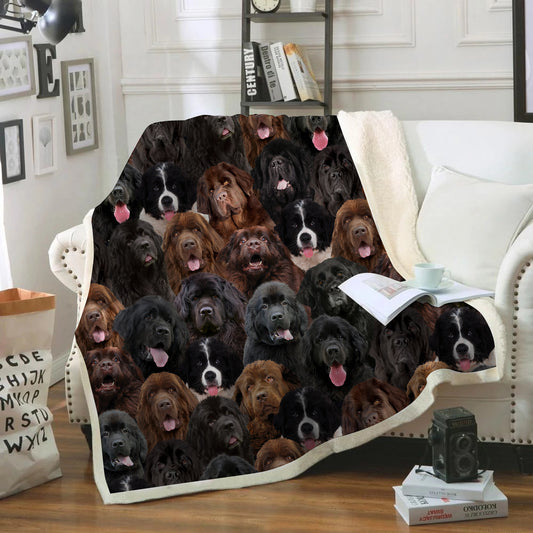 You Will Have A Bunch Of Newfoundlands - Blanket V1