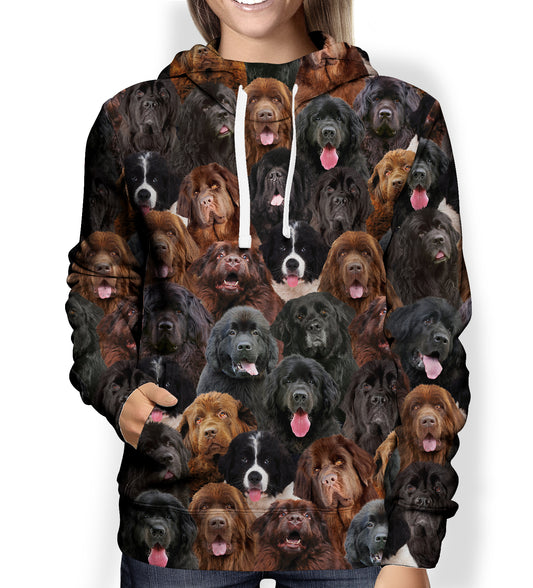 You Will Have A Bunch Of Newfoundlands - Hoodie V1