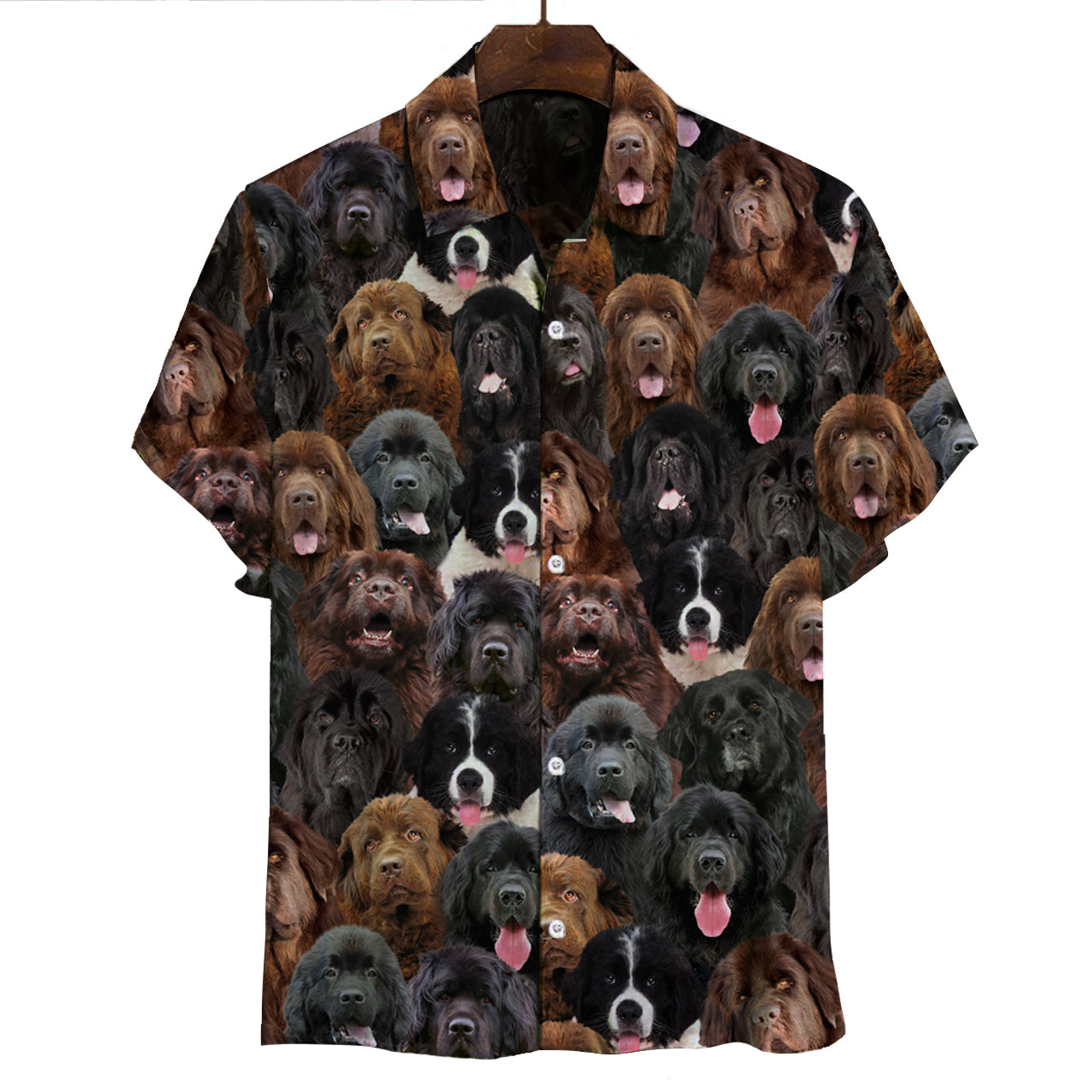 You Will Have A Bunch Of Newfoundlands - Shirt V1