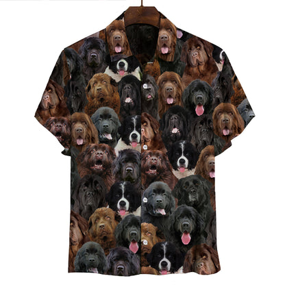 You Will Have A Bunch Of Newfoundlands - Shirt V1