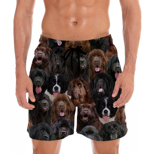 You Will Have A Bunch Of Newfoundlands - Shorts V1